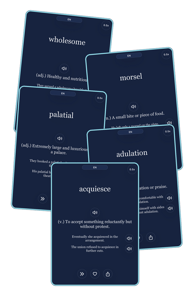 daily vocabulary for language learners